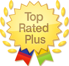 Ebay Top-Rated Plus